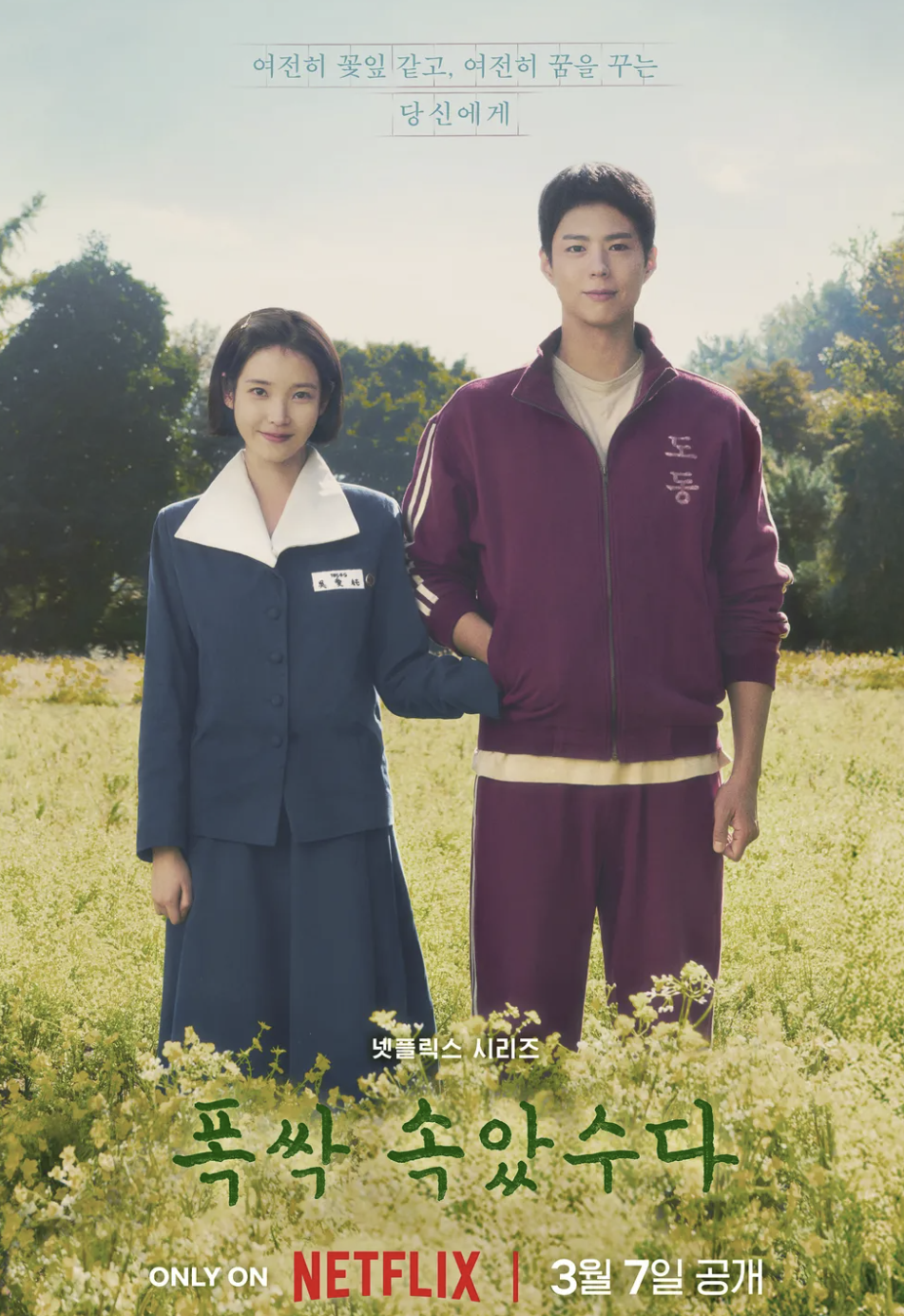 폭싹 속았수다&amp;#44; 폭싹 속았수다 다시보기&amp;#44; 폭싹 속았수다 뜻