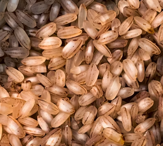 갱년기 다이어트 방법