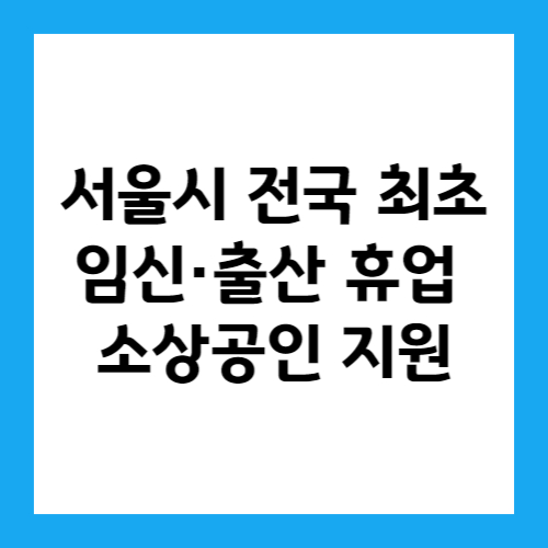 서울시 전국 최초 임신·출산 휴업 소상공인 지원