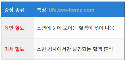 혈뇨 (Hematuria)