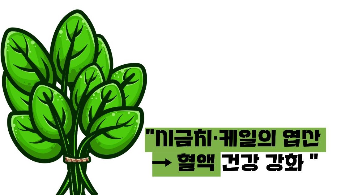 루푸스병에 좋은 음식