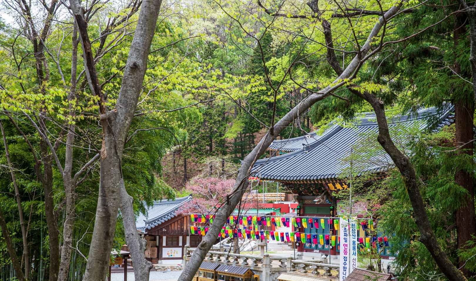 양산 홍룡사 홍룡폭포