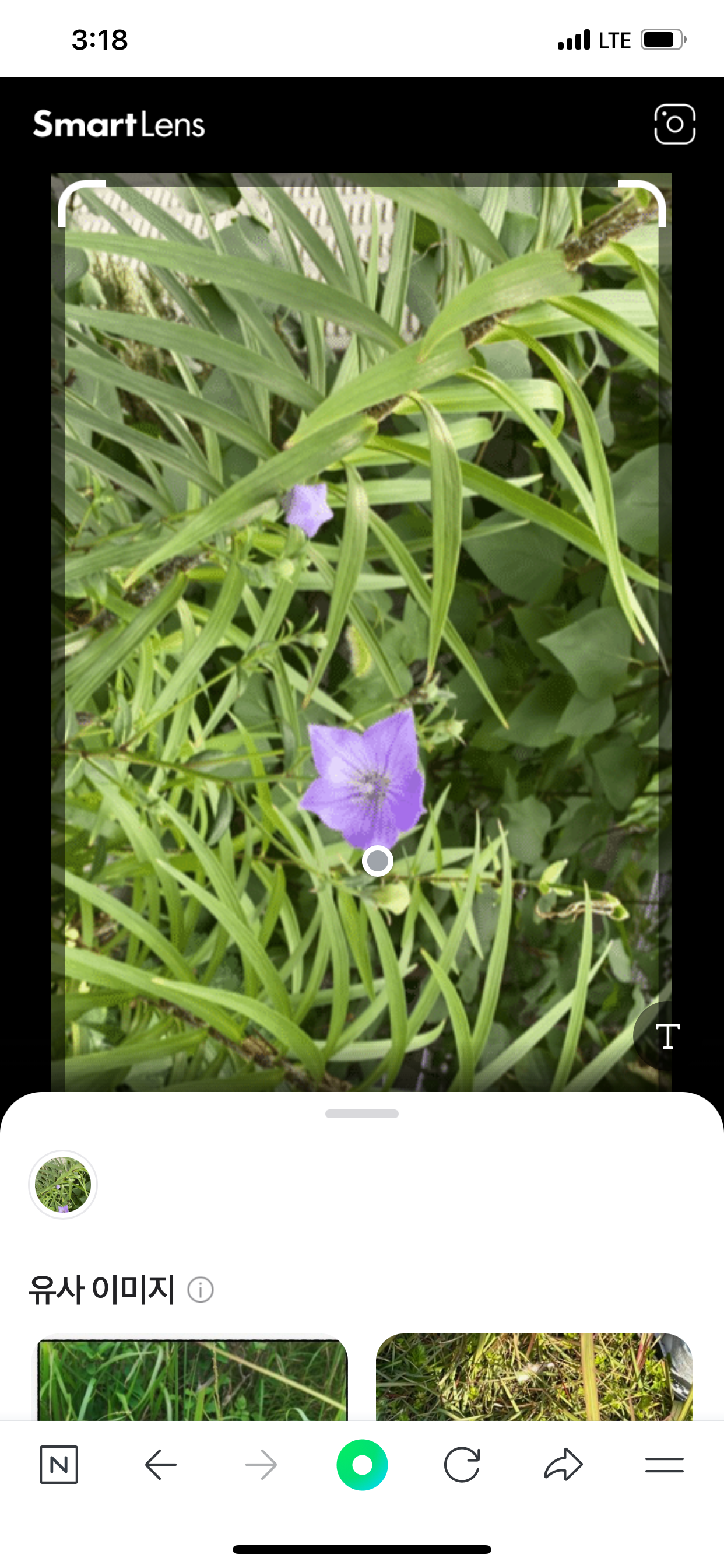 Alt 속성 문제 해결 설명 이미지