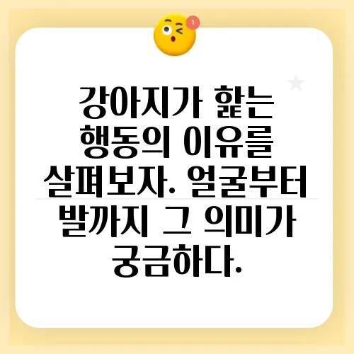 강아지가 핥는 행동의 이유를 살펴보자. 얼굴부터 발까지 그 의미가 궁금하다.