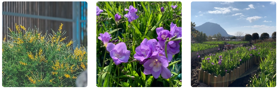 국내여행추천 12