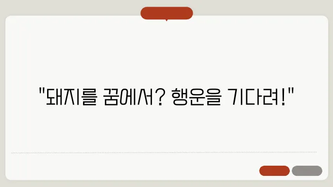 돼지 보는 꿈해몽