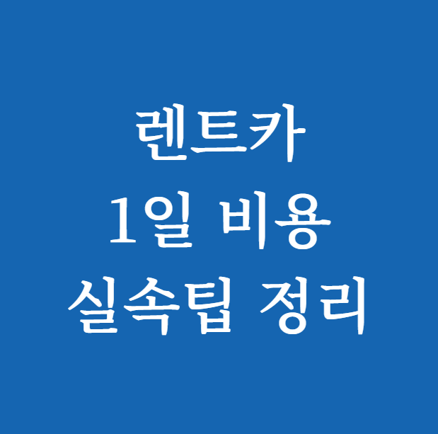 2025년 렌트카 1일 비용 실속팁 정리