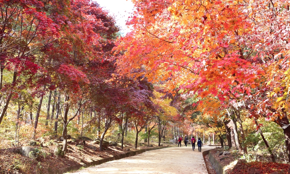 문경새재 사진