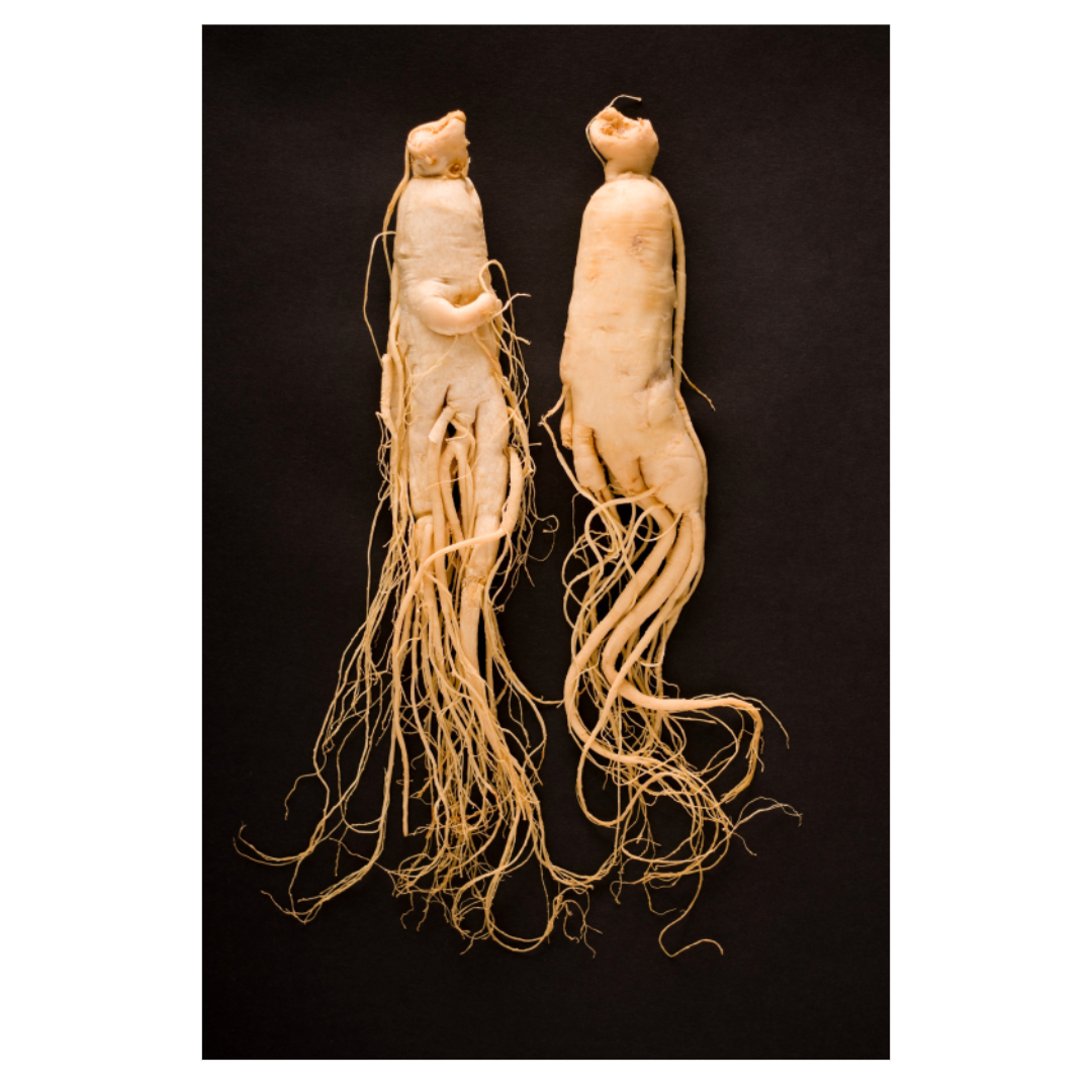 홍삼과 관련된 사진입니다.