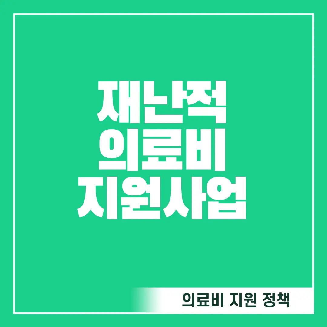 재난적의료비지원사업