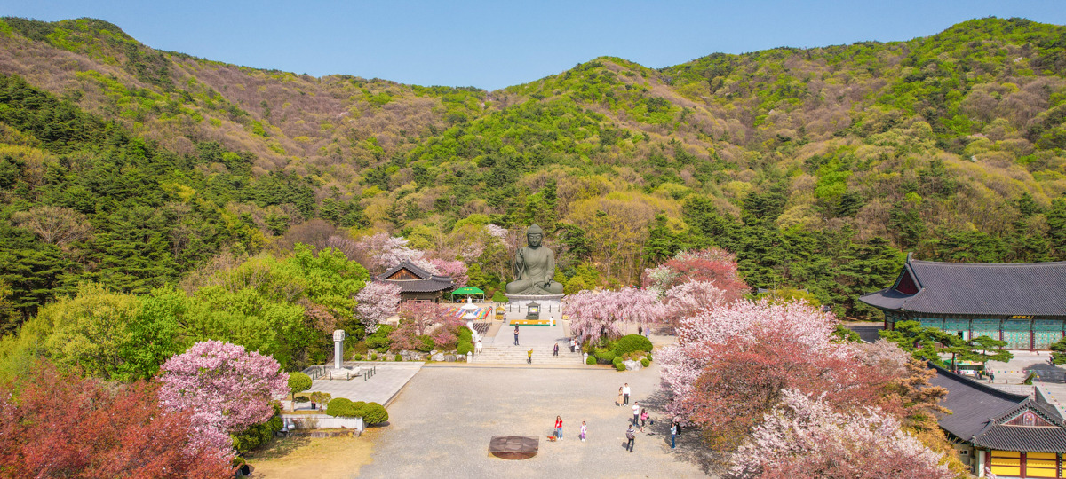 각원사