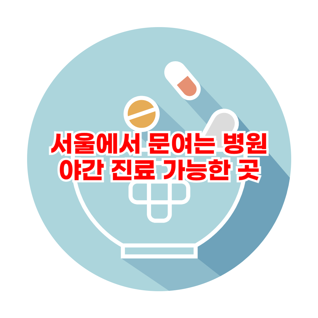 서울에서 문여는 병원 야간 진료 가능한 곳