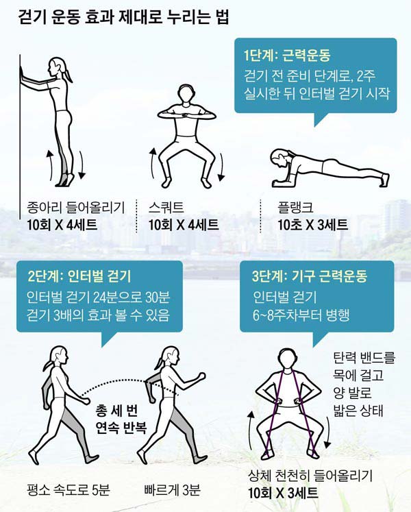 변비 원인, 변비 해결 방법, 장 건강, 만성 변비, 변비 영양제, 유산균 추천, 마그네슘 변비, 식이섬유 변비, 장 운동, 배변 활동, 변비 식단, 장내 환경 개선, 프로바이오틱스, 차전자피, 수분 섭취, 배변 습관, 변비 스트레스, 장 기능 저하, 변비 생활습관, 장 건강 관리, 변비 예방, 장 마사지, 변비 개선 팁, 변비 음식, 배변 도움