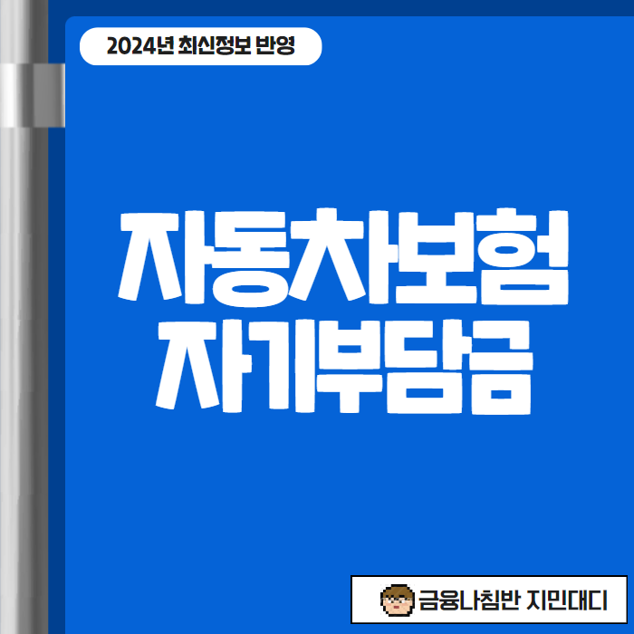 자동차보험자기부담금 01