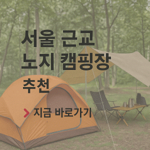 가평 레일바이크 예약 홈페이지