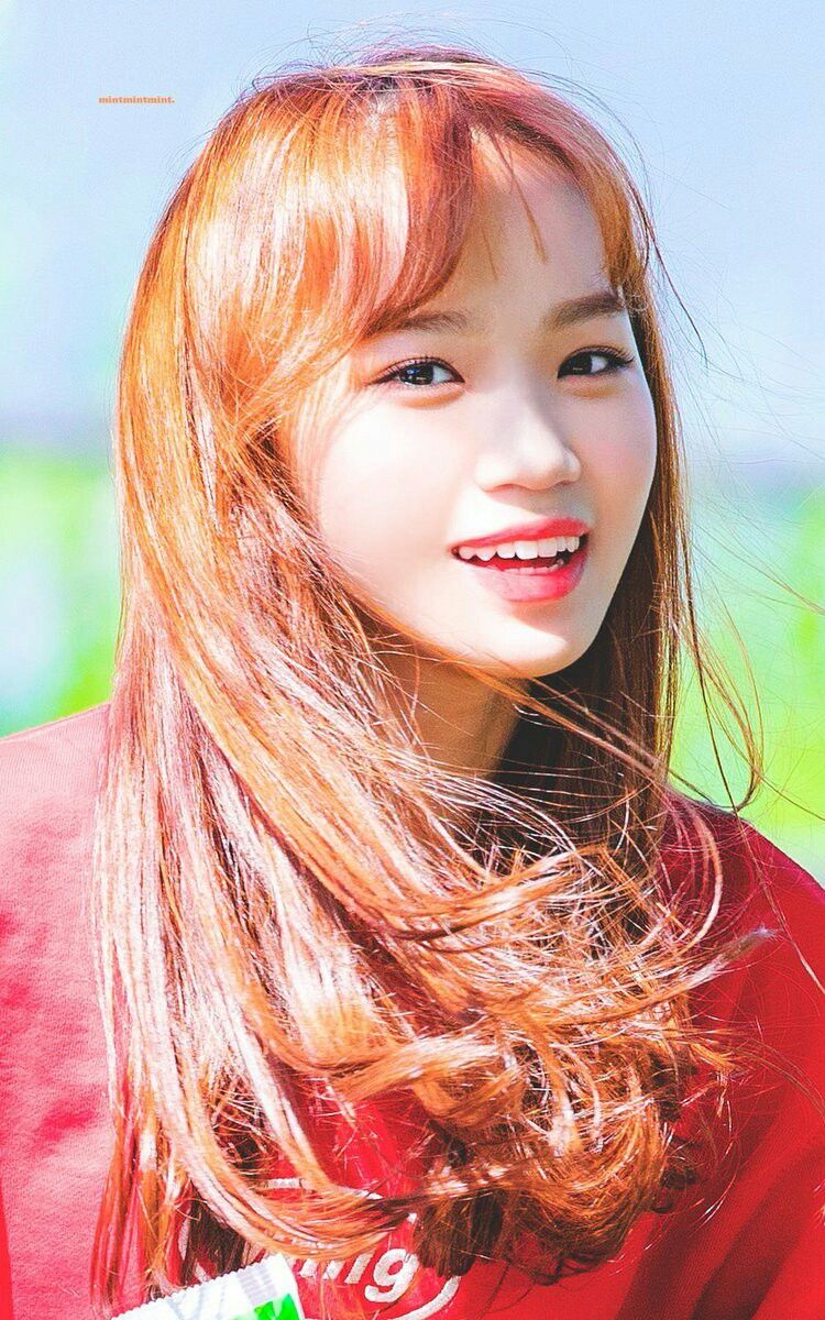 김채원 사진 모음