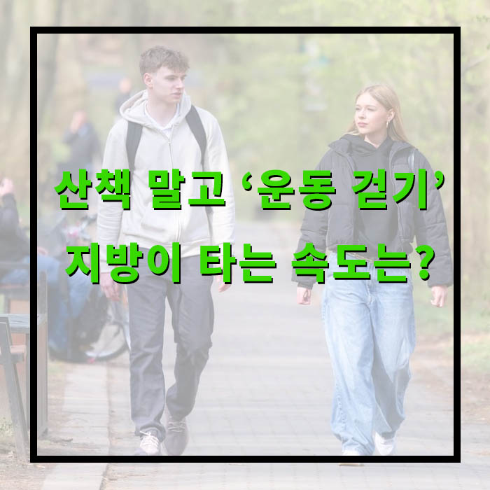 산책 말고 ‘운동 걷기’ 하세요! 지방이 타는 속도는 따로 있다