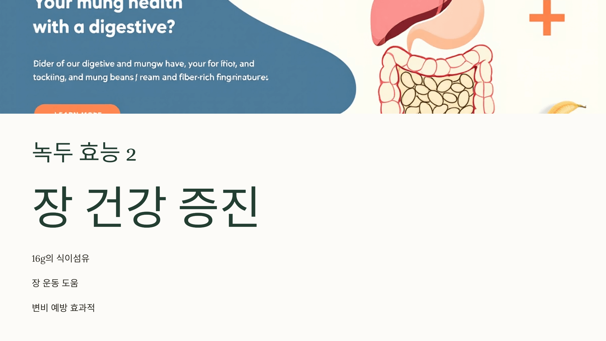 녹두 사진입니다.