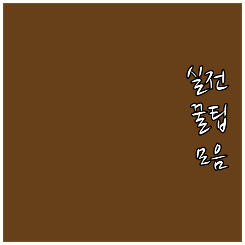 서대문구 2025 복지사업! 어르신 ..