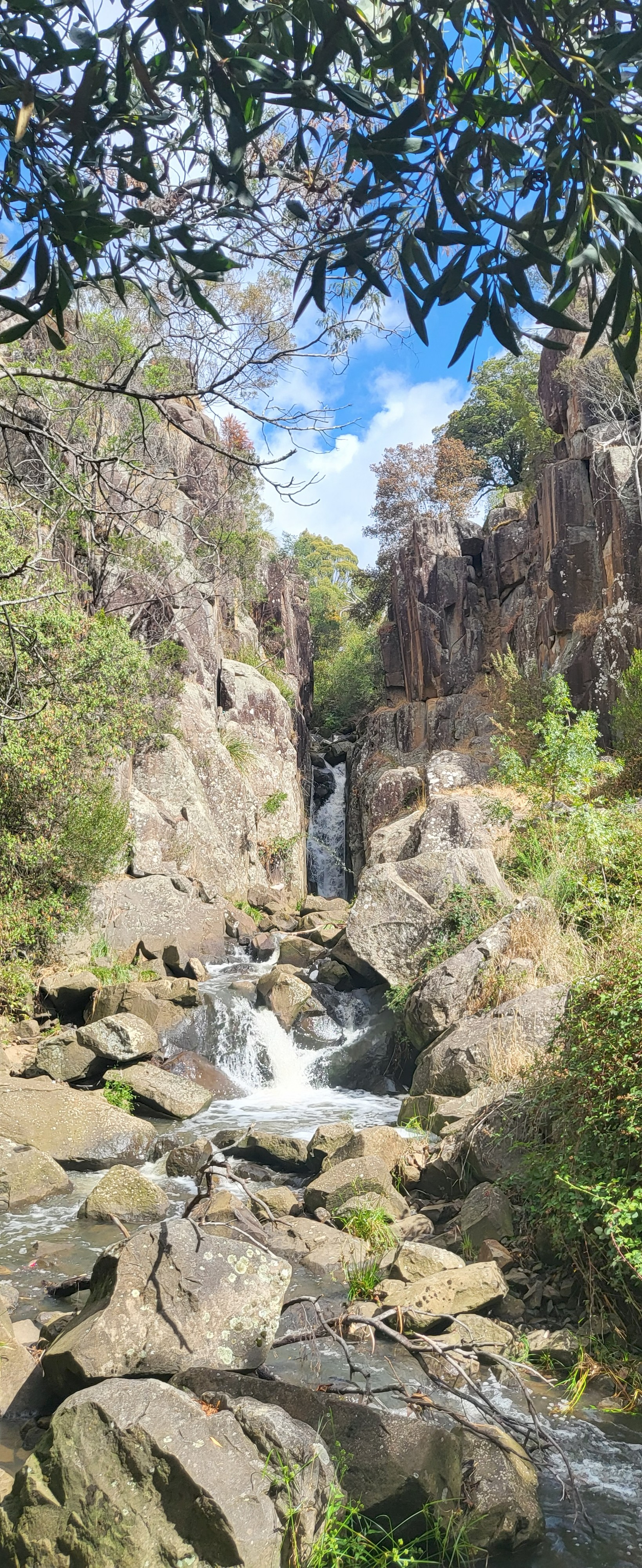 Punchball Fall