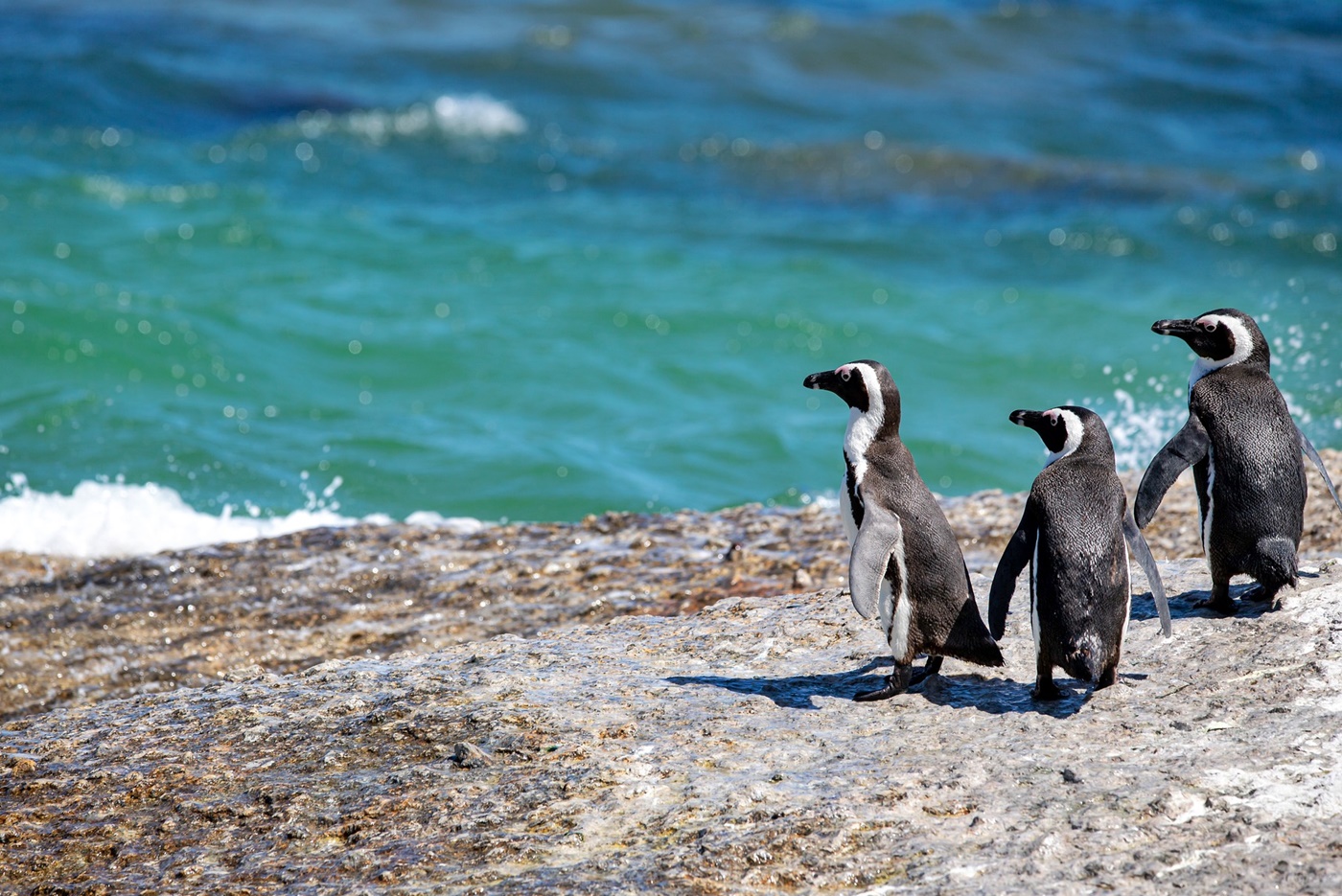 빙하가 녹으면 해수면만 오르는 게 아니다, 진짜 위험은 따로 있다