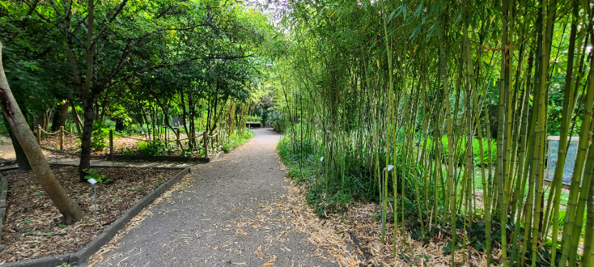 보르도 식물원(Jardin Public)-듀 쟈흐당 쀼블릭 식물원