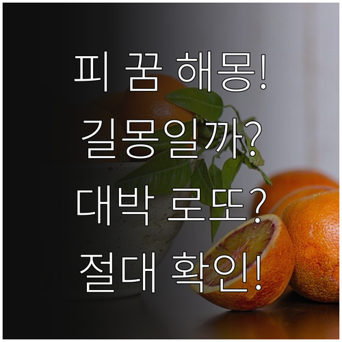 피 꿈 상황별 해몽 정리 길몽과 흉몽..