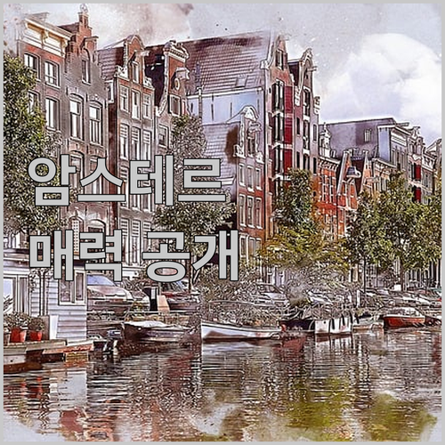 머큐어 암스테르담 슬로터다이크 스테이