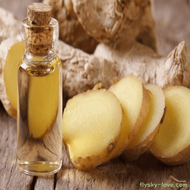 진저 (Ginger), 진저 오일 효능