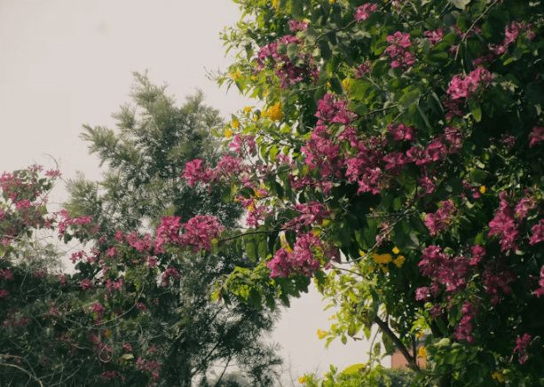 울릉도 &amp;독도 여행 : 배편부터 숙소&amp;#44; 놓칠 수 없는 명소까지!