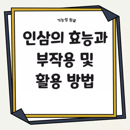 인삼의 효능과 부작용 및 활용 방법 썸네일