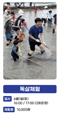 화성 뱃놀이축제