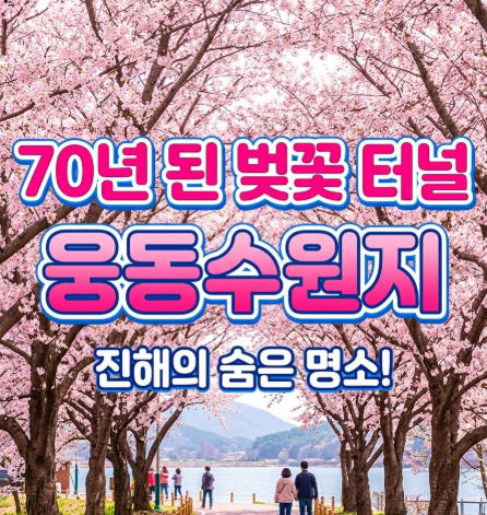 70년 된 벚꽃 터널, 웅동수원지