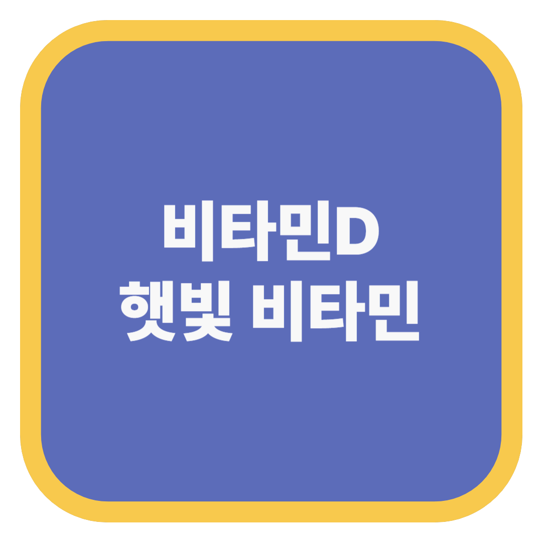 비타민D 햇빛 비타민