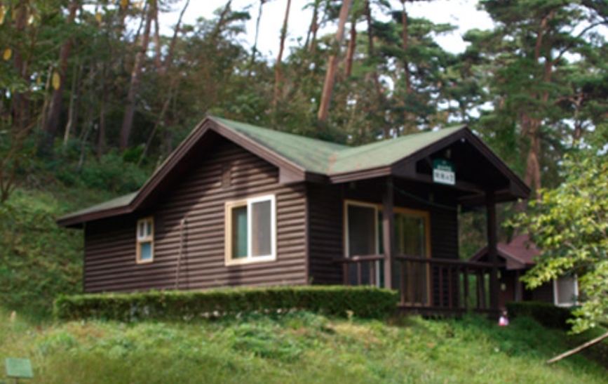 안면도 자연휴양림 여행 예약,코스,맛집,숙소