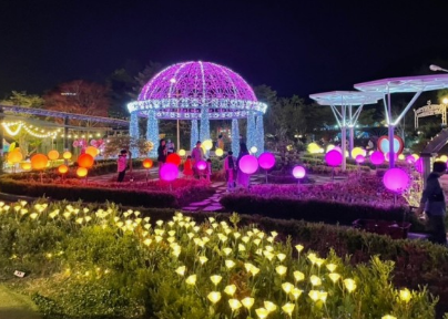 365일 빛축제 가을에 꼭 가봐야할 빛축제 BEST 5