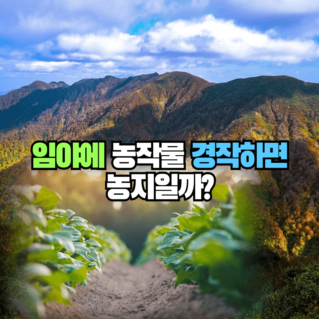 임야에 농작물 경작하면 농지일까?