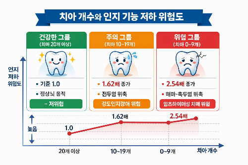 "양치질이 치매를 막는다?" 중장년 인지 저하를 방지하는 구강-두뇌 연결 고리의 실체2