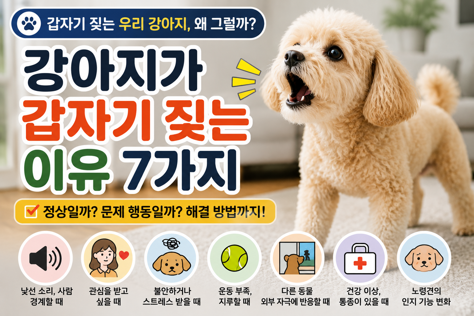 강아지가 갑자기 짖는 이유 7가지