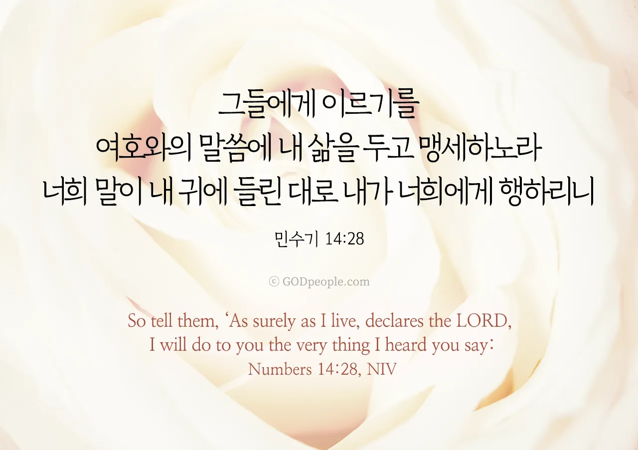 가나안 땅 이스라엘 민수기 13장_8