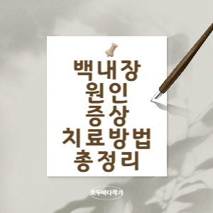 백내장-원인-증상,치료-방법-총-정리