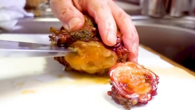 멍게 요리 총정리