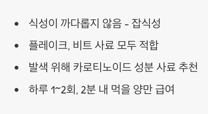 먹이 - 가리지 않는 &amp;#39;튼튼한 식성&amp;#39;