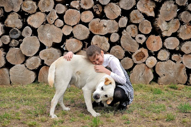 취약계층 반려동물 의료비 지원사업 &lsquo;우리동네 동물병원&rsquo; 완전정리