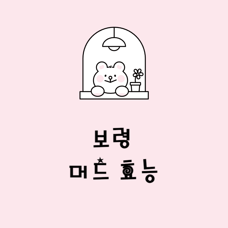 보령 머드효능