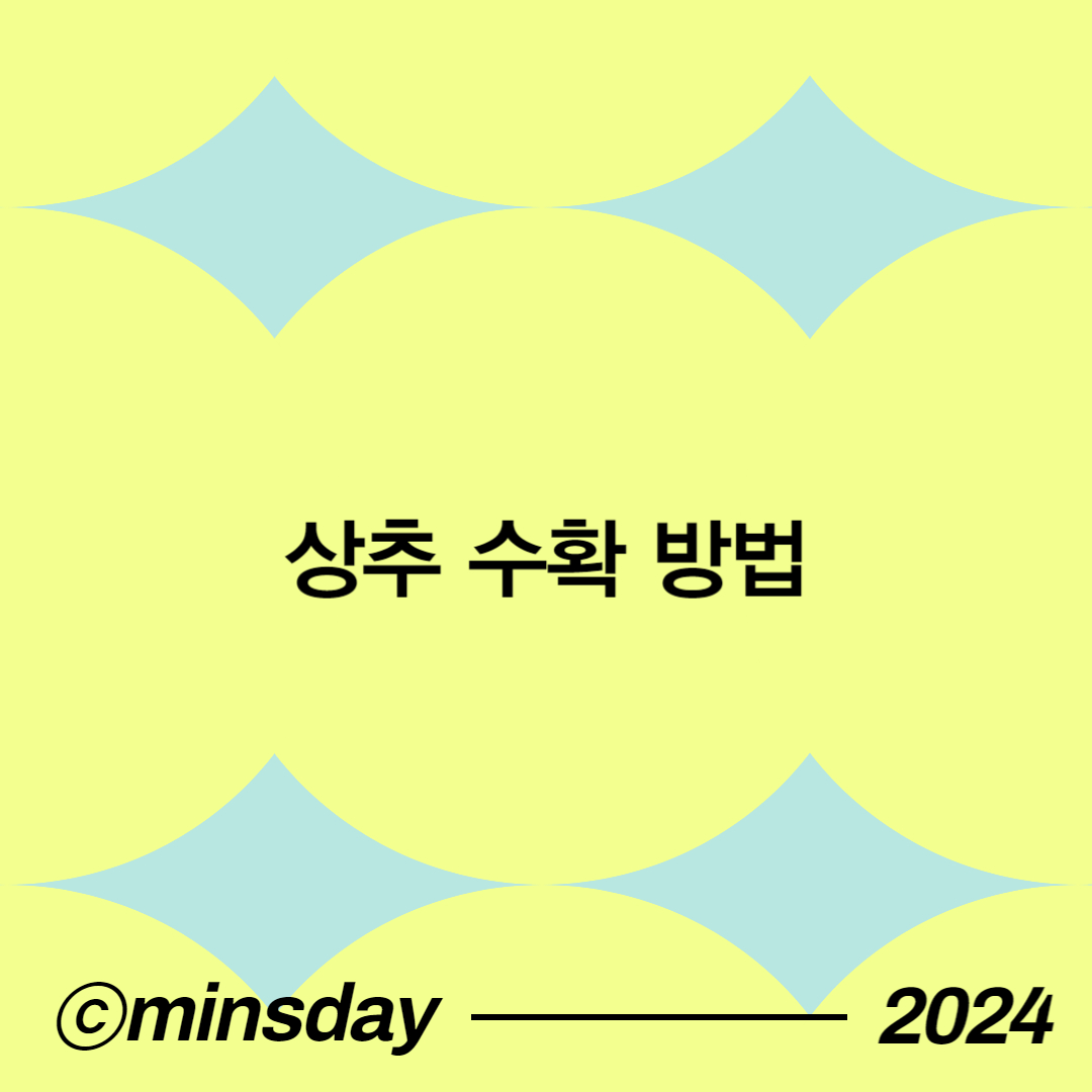상추키우기