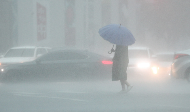 2025 장맛비 예보 총정리: 이번 여름 집중호우 대비법