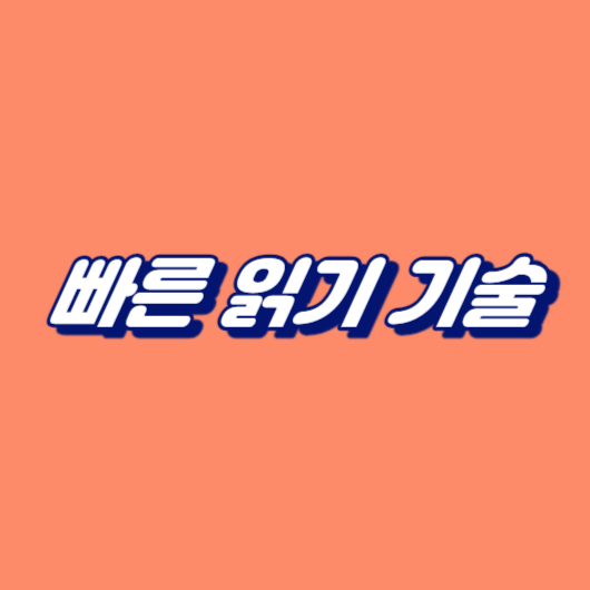 빠른 읽기 기술