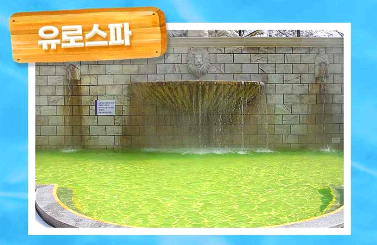 하이원리조트 워터월드
