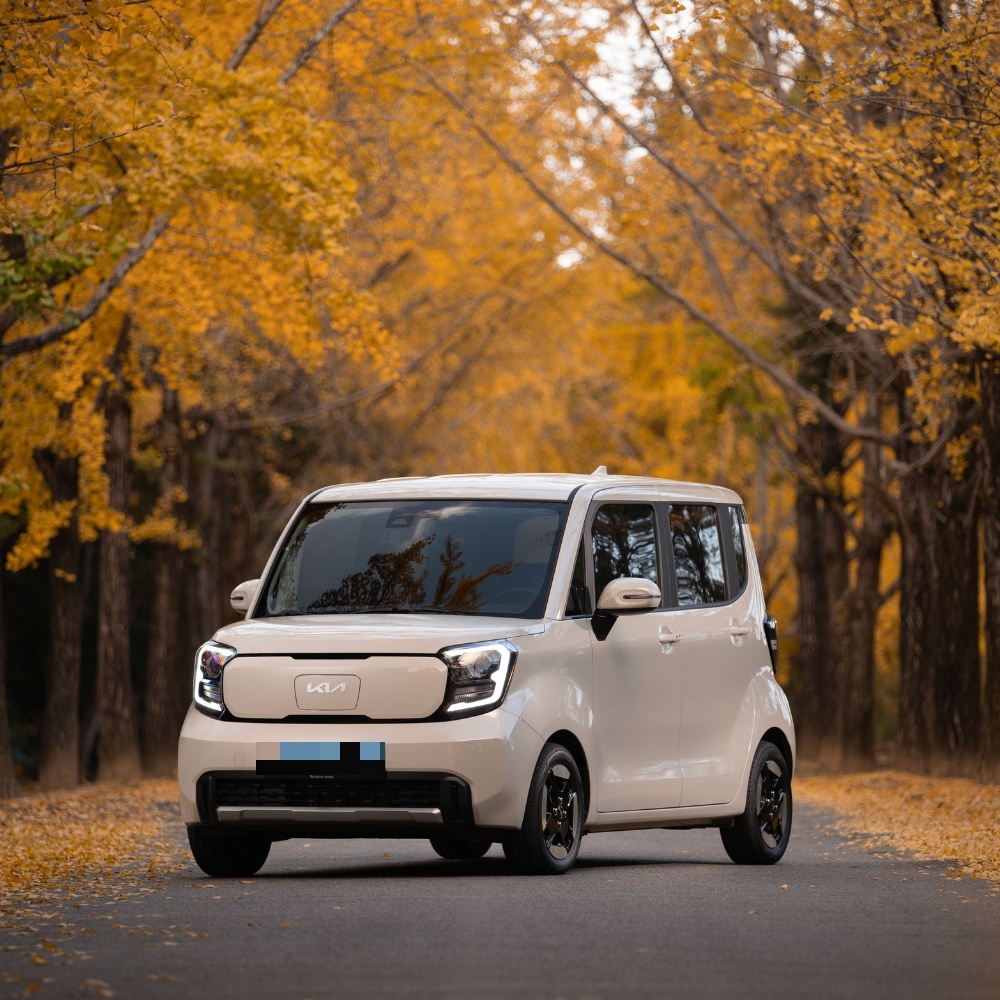 레이캐스퍼비교2